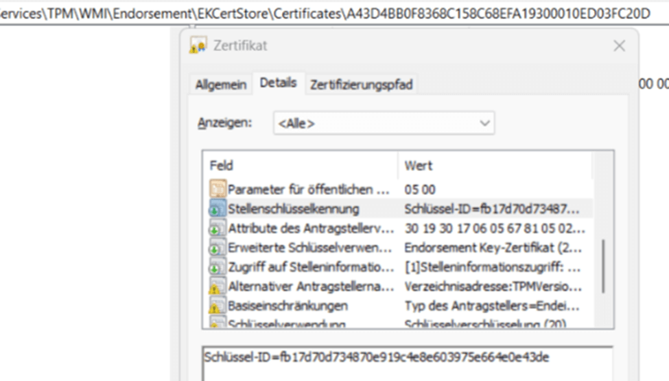 TPM\WMI\Endorsement\EKcertstore registry key also showing the ek cert